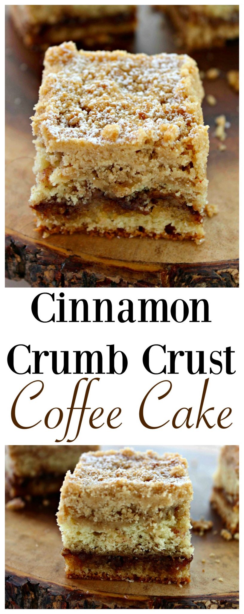 Cinnamon Crumb Crust Coffee Cake Recipe