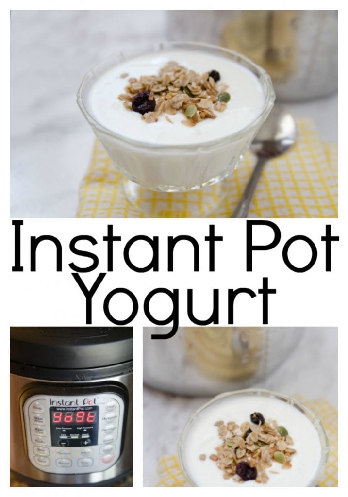 Instant Pot Yogurt Recipe Homemade Yogurt 2280