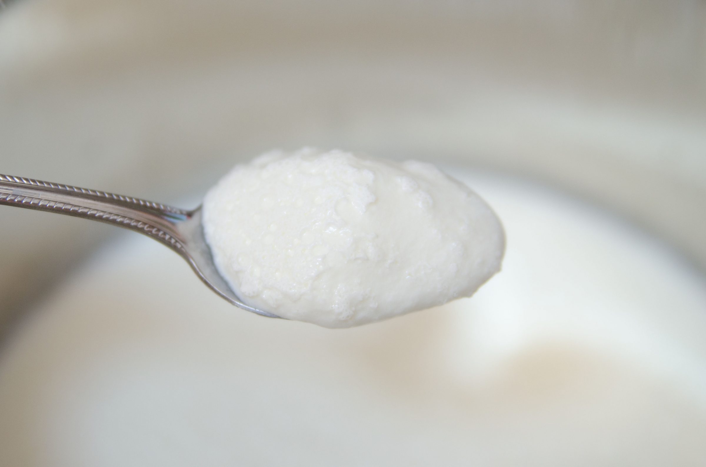 Instant Pot yogurt recipe | FoodieFather.net
